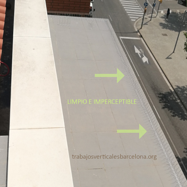 Instalación de pinchos antipalomas en cornisa mediante trabajo vertical en Barcelona