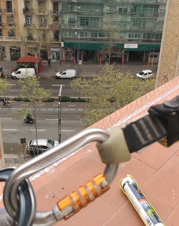 trabajo altura cuerdas arnes asegurado en cornisa edificio